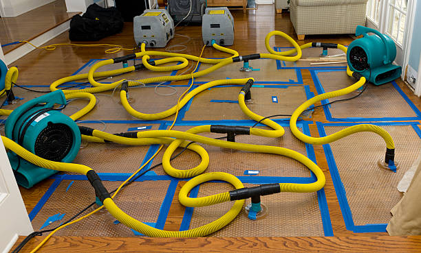 Professional Water Extraction technician working in Kearney, MO